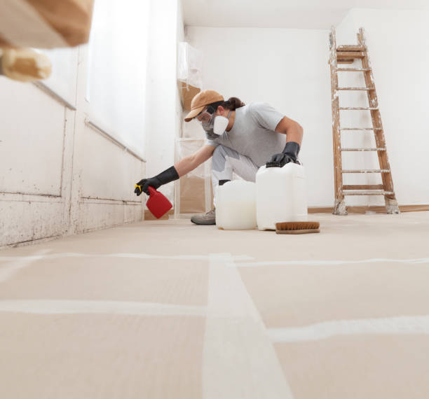 Best Attic Mold Removal  in Waskom, TX