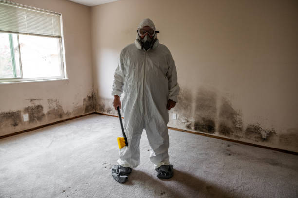 Best Mold Damage Restoration  in Waskom, TX